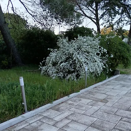 Pine House Montemesola
