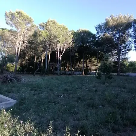 Pine House